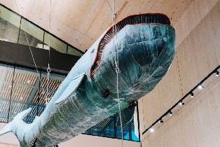 維也納歷史徒步之旅