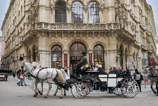 維也納市中心之旅