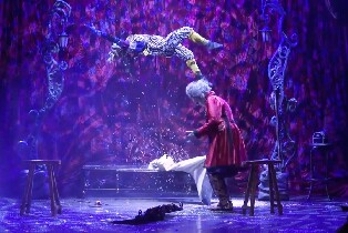 維也納魔法世界魔術節綜藝表演門票