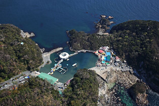 日本靜岡下田海中水族館門票
