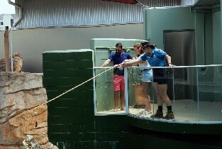 達爾文巨鱷餵食體驗＆導覽之旅