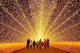 長島三井Outlet & 名花之裏彩燈會巴士之旅