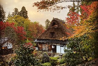 小松市湯國之森門票