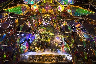 奈良金魚博物館門票