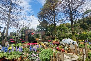 苗栗卓也小屋門票