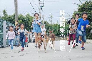 桃園山腳鹿場水鹿之家門票