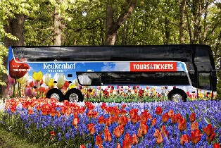 庫肯霍夫門票 + 阿姆斯特丹往返接送