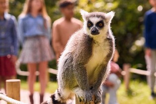荷蘭呂伐登水族動物園門票