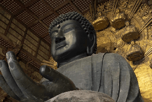 從京都或大阪出發：奈良下午導覽之旅