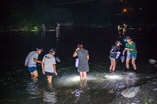 花蓮夜間抓蝦＆BBQ體驗