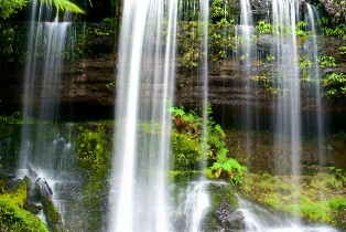 塔斯馬尼亞霍巴特費爾德山公園一日遊(中文導覽)