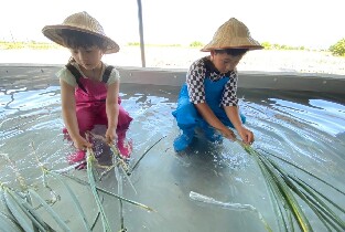 宜蘭｜初咪體驗農場｜DIY創意蔥麵包&蔥勁派（蔥油餅）體驗