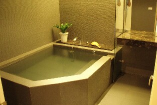 臺中: 谷關明高溫泉雙人泡湯券