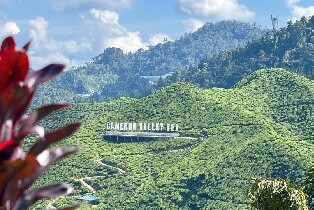 金馬崙高原導覽一日遊（含午餐，湊團）