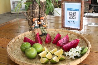 雲林｜橙色農作休閒果園四季採果體驗券｜需電話預約圖片