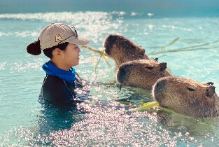 墾丁鹿ㄦ島水豚生態園區門票