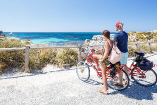 羅特尼斯島體驗：渡輪接送及環島遊