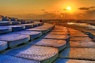 新竹城隍廟 & 南寮漁港 & 新竹動物園一日遊（臺北出發）