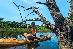 花蓮：水漾森林 SUP 立槳體驗圖片