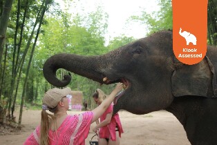 清邁Kerchor Elephant Eco Park & Zipline 一日遊