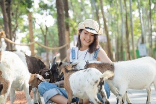 咩咩上樹萌寵樂園門票圖片