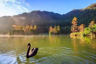 明池森林遊樂區門票