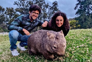 狂野袋熊、袋鼠與瀑布全包式之旅