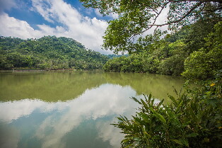 活泉足體養身世界＆慈湖＆大溪老茶廠一日遊