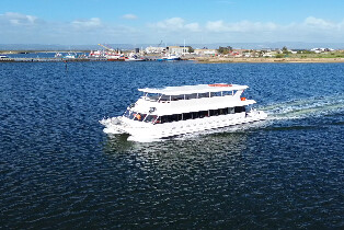 2小時阿德萊德港河海豚與海事巡航之旅