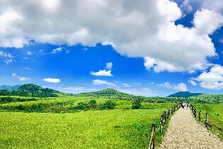 陽明山竹子湖 & 北投地熱谷 & 擎天崗 & 野柳一日遊