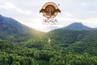 怡保沉香茶谷一日遊