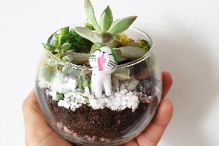 【福南+巴耶利峇廣場】生態瓶DIY家庭套裝或工作坊體驗