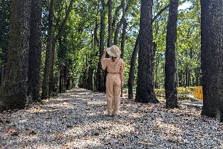 六龜裏山深度一日漫遊
