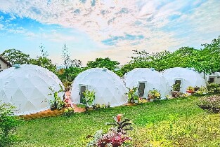 屏東露營｜阿信巧克力農場｜星空露營 (免搭帳露營體驗)