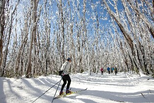 湖山私人接送圖片