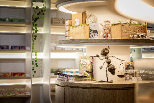 螞蟻帝國生態博物館圖片