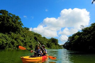 紅樹林獨木舟體驗