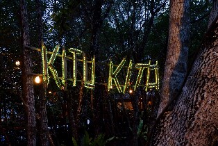 普林塞薩港賞螢火蟲之旅