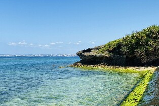 沖繩美麗海水族館高速巴士往返車票