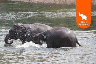 大象世界北碧府大象日間照護