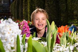 庫肯霍夫 & 鬱金香農場 & 風車遊輪一日遊（阿姆斯特丹出發）