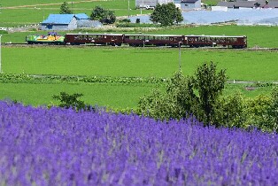 JR北海道札幌 - 富良野區域鐵路周遊券