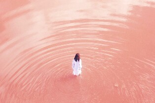 西澳大利亞粉紅湖2日遊