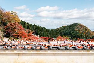 勝尾寺 x 嵐山竹林 x 東大寺&奈良公園一日遊