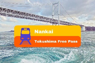 南海德島周遊券