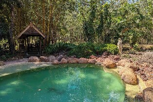 5小時熱帶花園私人導覽 & 觀光