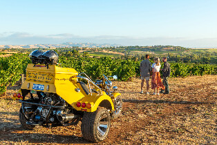 巴羅薩河谷半日私人品酒之旅
