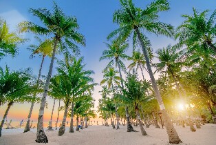 奧西尼卡邦勞度假村及南農場日間遊