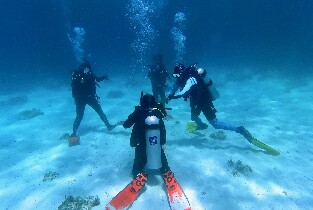 薄荷島PADI水肺複習課程體驗