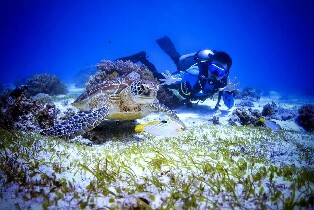 邦勞PADI高級開放水域潛水員體驗（PADI五星級潛水中心）